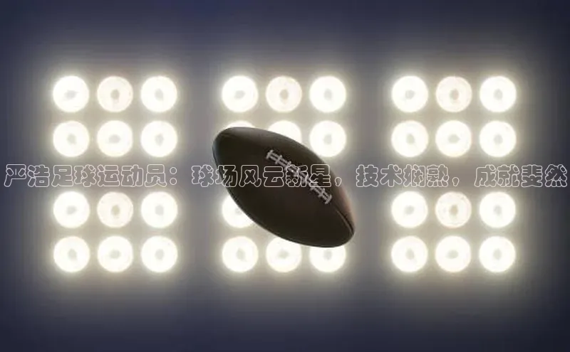 28圈.ccmpc29官网版下载百度集团严浩足球运动员：球场风云新星，技术娴熟，成就斐然