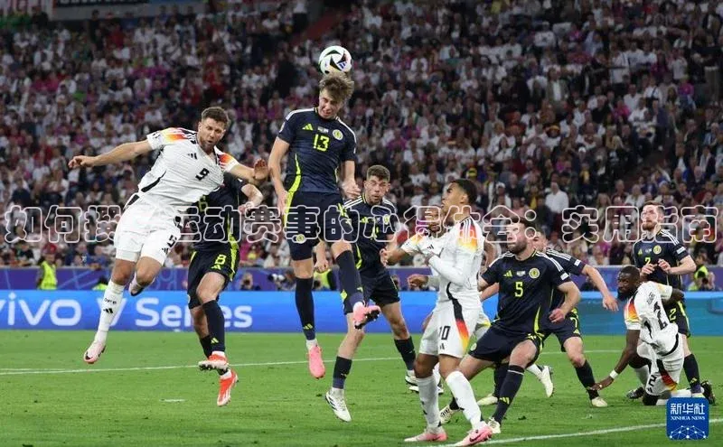 如何撰写运动赛事的心得体会：实用指南