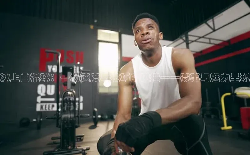 冰上曲棍球：一场速度与技巧的碰撞——赛事与魅力呈现