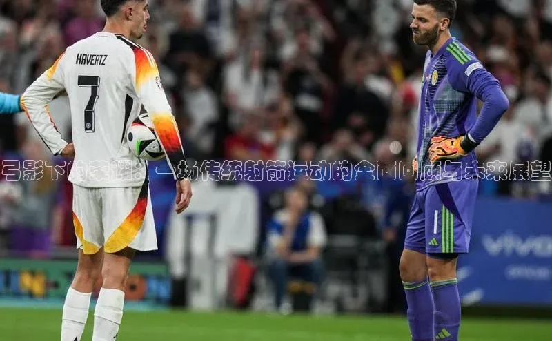 弓影下的荣耀：一场传统射箭运动的全面回顾与未来展望