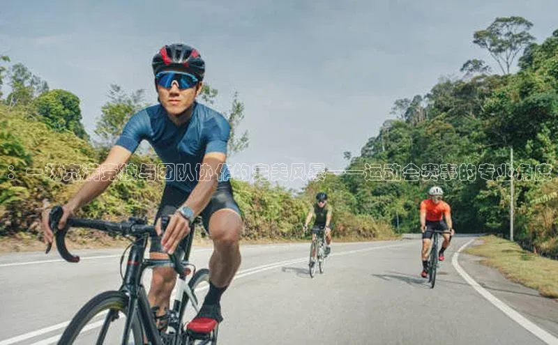 ：一场充满竞技与团队协作的完美风暴——运动会赛事的专业角度