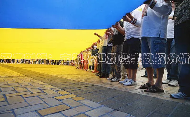 深度剖析：定制化运动赛事数据分析