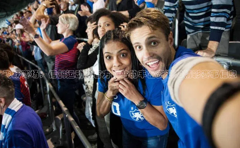 飞跃赛场：信鸽运动会官方网站的丰富资源和精彩赛事信息