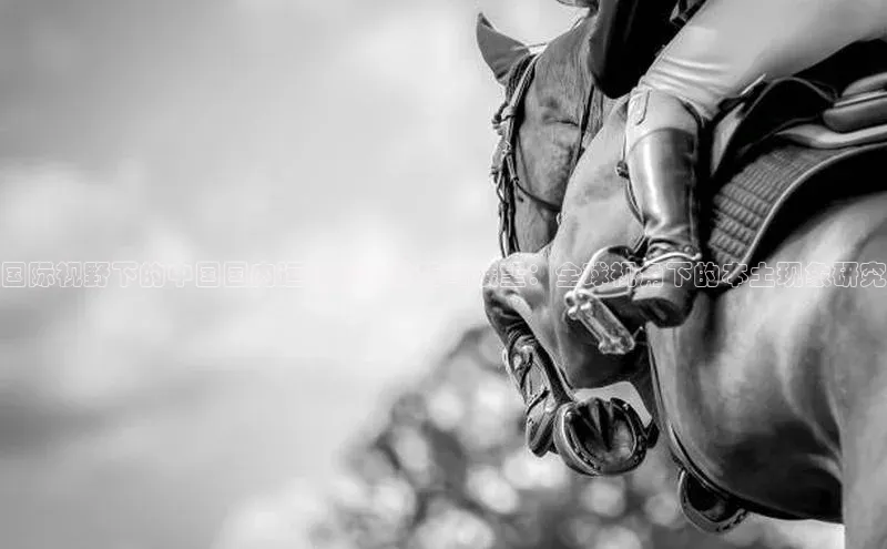 国际视野下的中国国内运动赛事分析与展望：全球视角下的本土现象研究