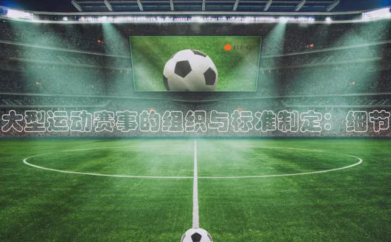 大型运动赛事的组织与标准制定：细节