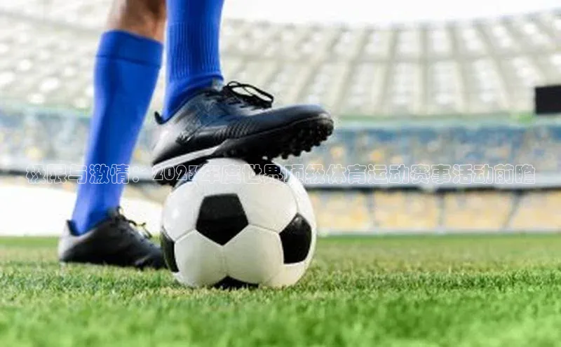 极限与激情：2023年度世界顶级体育运动赛事活动前瞻