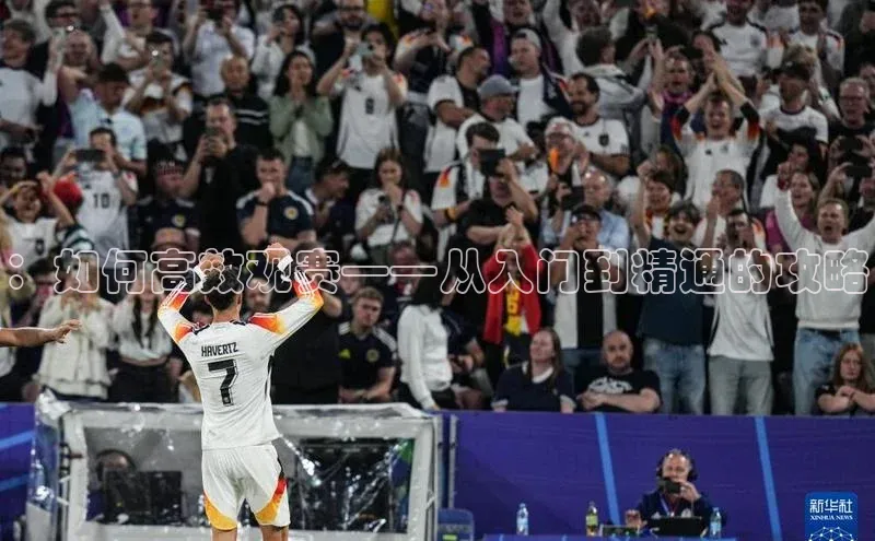 28圈平台官网版下载